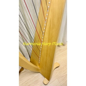 SOLD - 2nd Hand Salvi Gaia 38 strings Lever Harp SOLD - 2nd Hand Salvi Gaia 38 strings Lever Harp
